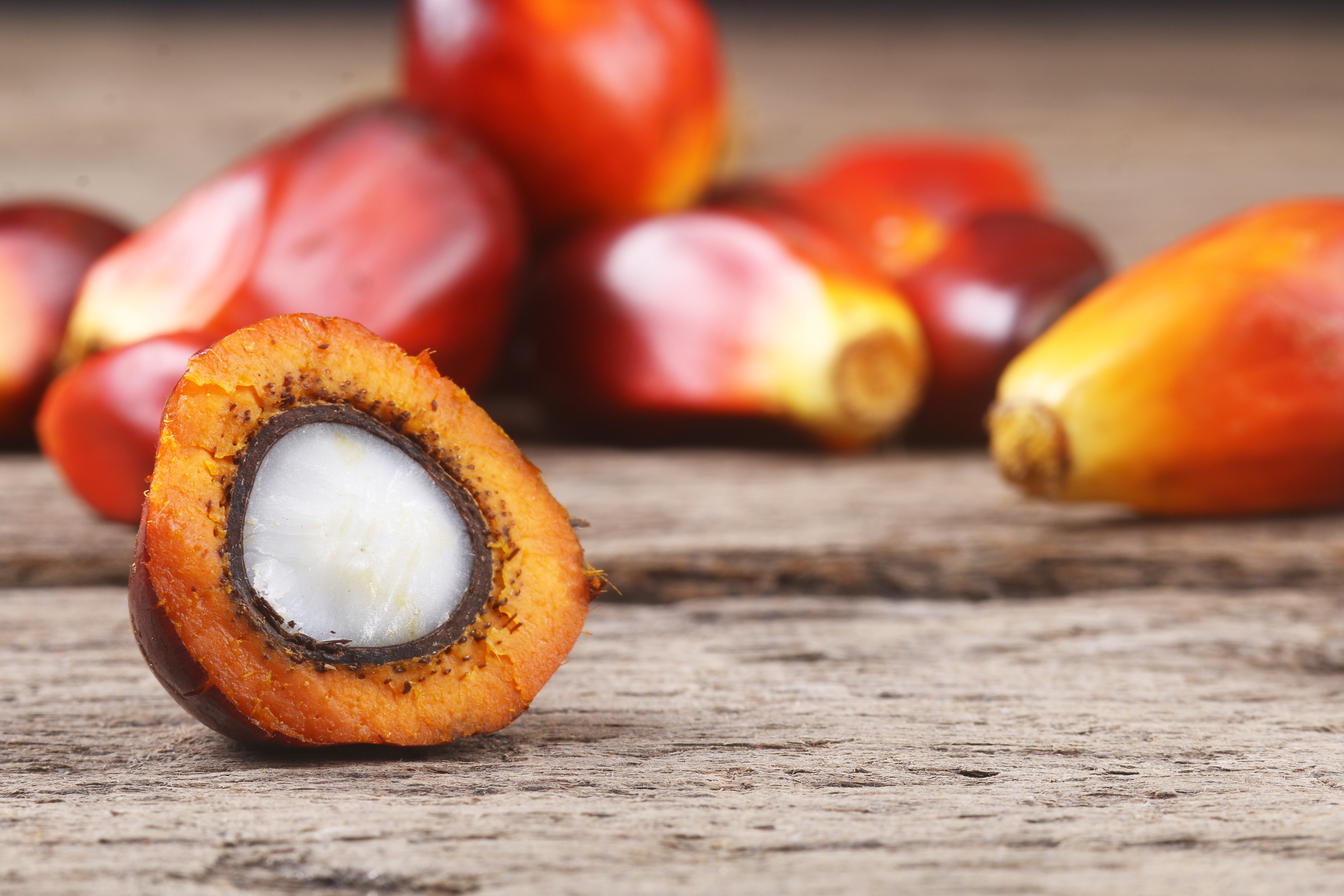 Des graines de haute qualité